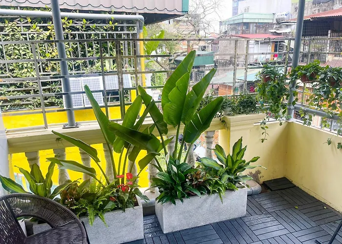 Sunny Garden Balcony In Old Quarter, Free Laundry, Free Water